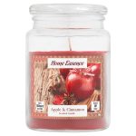 home essence apple cinnamon candle 16oz