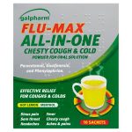 galpharm flu max all in one sachets 10s