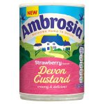 ambrosia strawberry custard can 400g