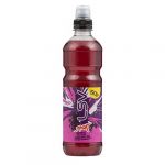lsv isotonic mix berry 50p 500ml